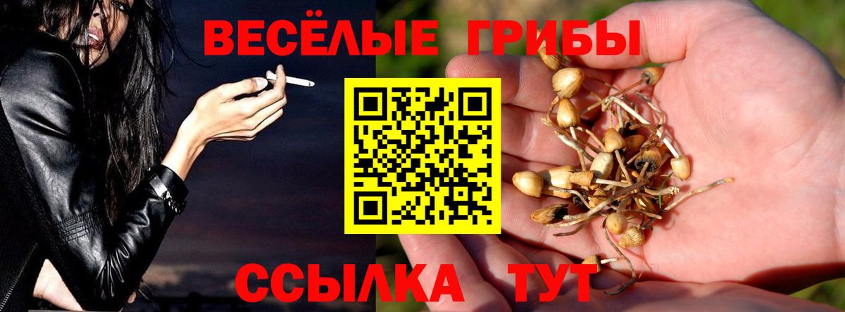 Кстово  Галлюциногенные грибы мицелий  Вход с VPN 