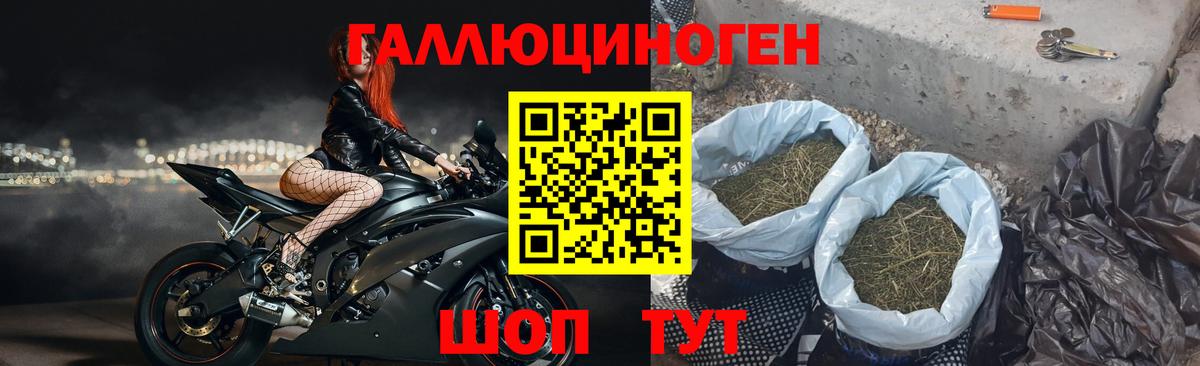 Псилоцибиновые грибы GOLDEN TEACHER Кстово